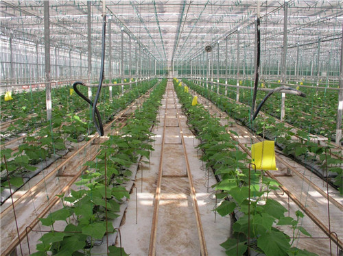 西安PE管生產(chǎn)銷(xiāo)售