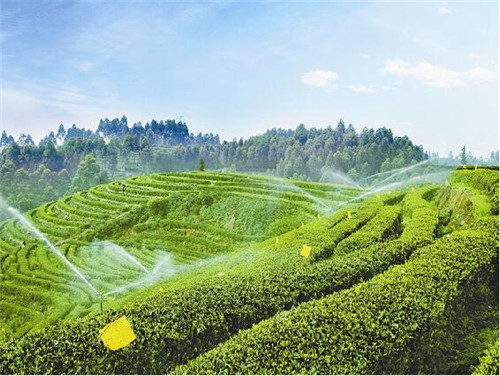 西安滴灌管工程