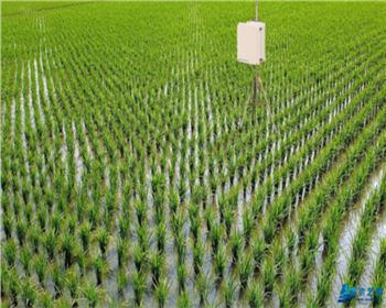 西安滴灌管農(nóng)田灌溉中PE管的產(chǎn)品知識(shí)