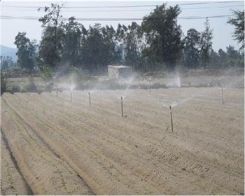 莊稼灌溉技術(shù)哪家強(qiáng)？噴灌、滴灌各有所長！