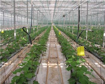 自動(dòng)智能節(jié)水灌溉系統(tǒng)