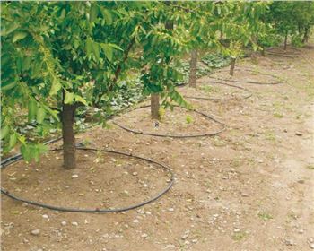 西安滴灌管案例實(shí)景