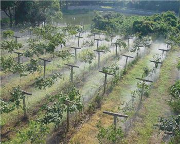 現(xiàn)在農(nóng)業(yè)上常用的自動(dòng)灌溉控制系統(tǒng)原理是什么？該怎么建設(shè)？