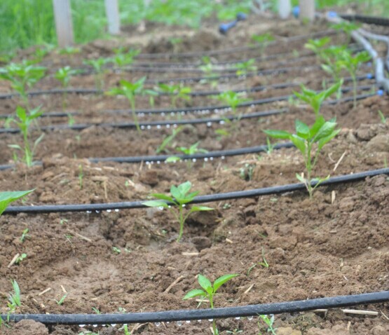 西安灌溉管批發(fā)