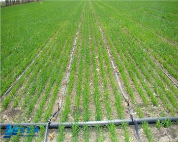 陜西節(jié)水灌溉滴灌管不同為什么會差異很大？