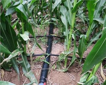 西安水肥一體化設(shè)備的優(yōu)勢