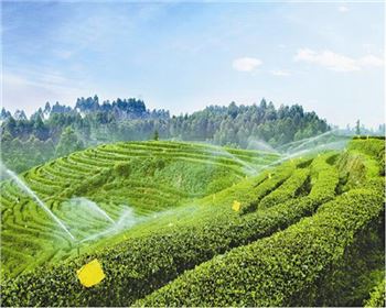 西安滴灌管的優(yōu)點大家知道知道嗎？