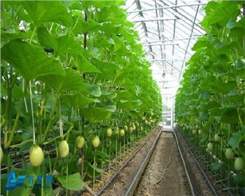 興何節(jié)水灌溉設備得到廣大客戶好評