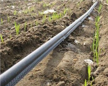 滴灌帶的好壞區(qū)分