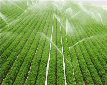 西安水肥一體化設備--茶園水肥一體化應用的優(yōu)勢